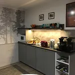 Borealis شقة روفانييمي